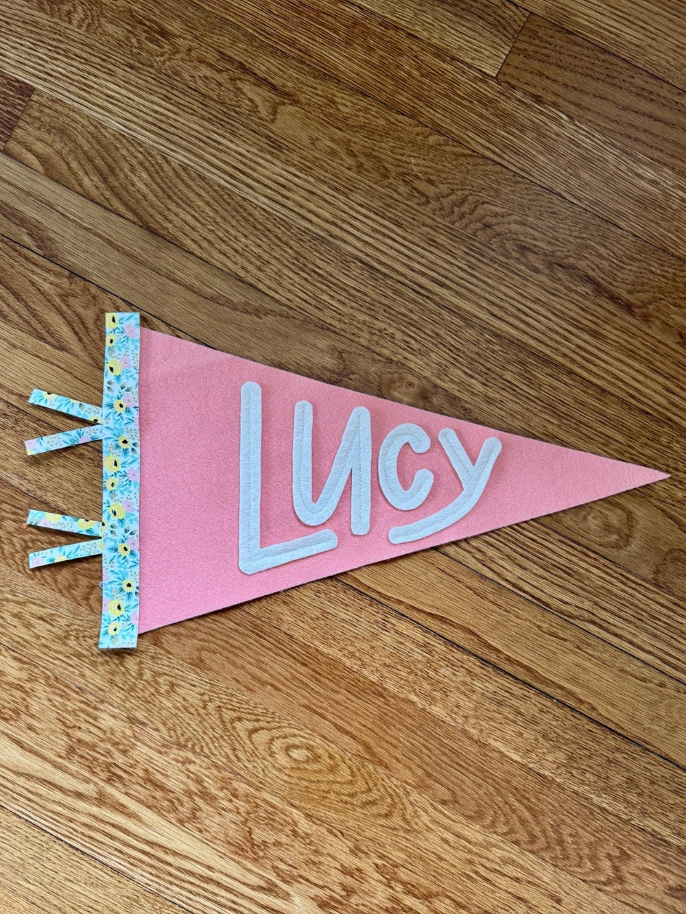 Eventide Pennant Co. Pink Lucy Pennant